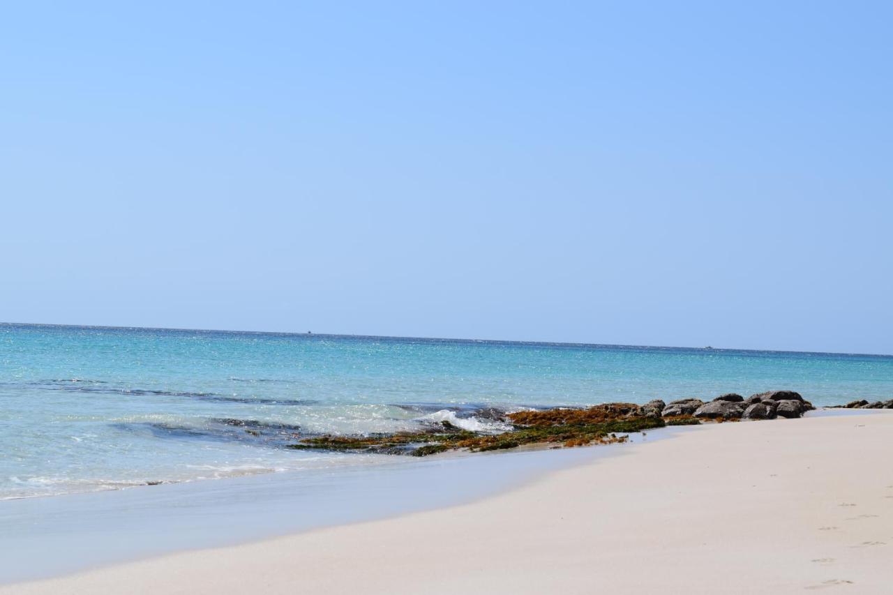 Eagle Bay House Bed & Breakfast ดันส์โบโรห์ ภายนอก รูปภาพ