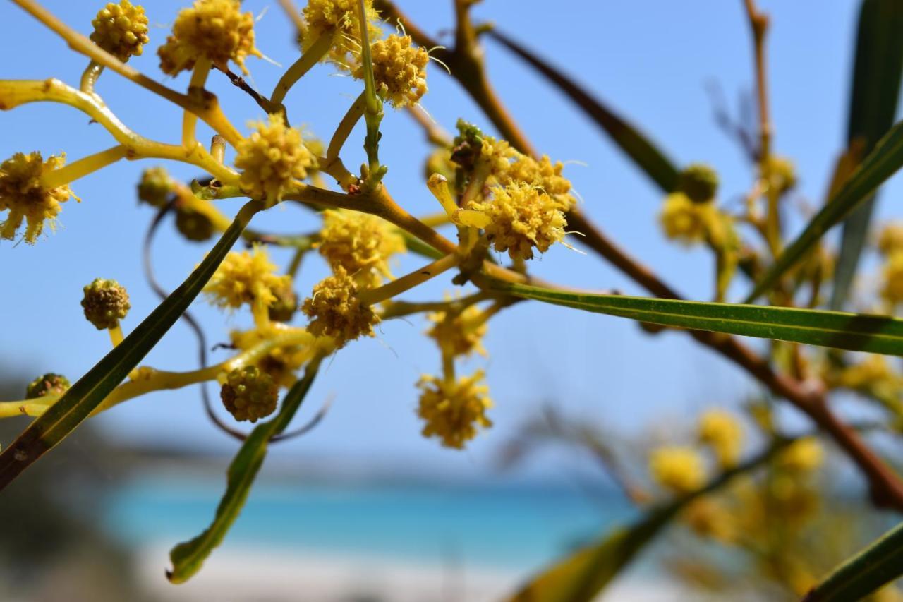 Eagle Bay House Bed & Breakfast ดันส์โบโรห์ ภายนอก รูปภาพ