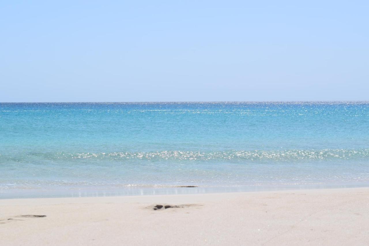 Eagle Bay House Bed & Breakfast ดันส์โบโรห์ ภายนอก รูปภาพ