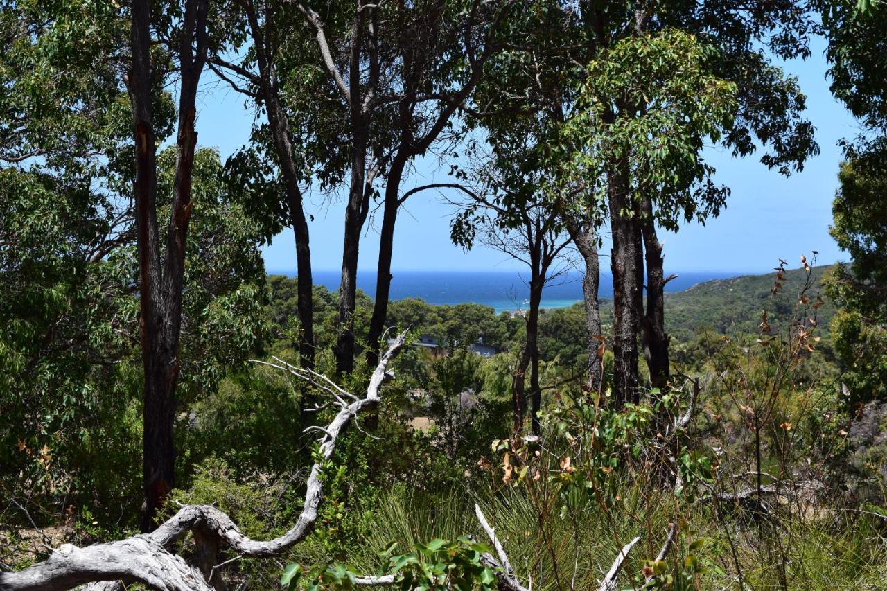 Eagle Bay House Bed & Breakfast ดันส์โบโรห์ ภายนอก รูปภาพ